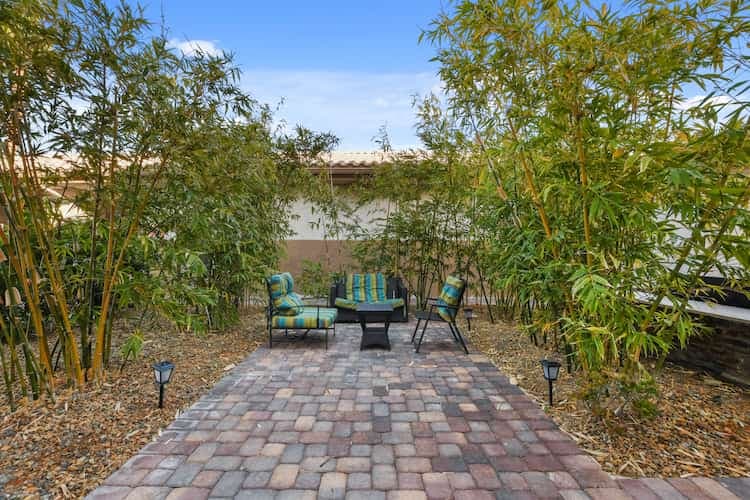 Outdoor seating area surrounded by trees