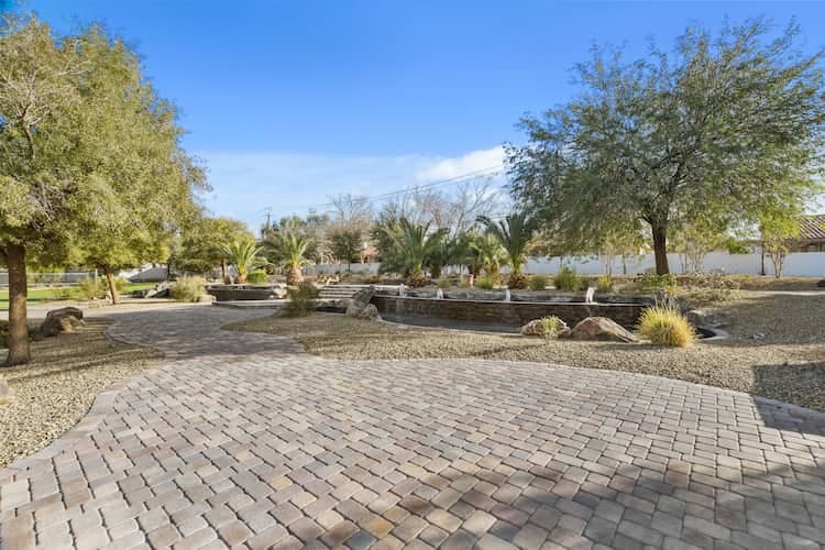 Paved outdoor space with desert trees