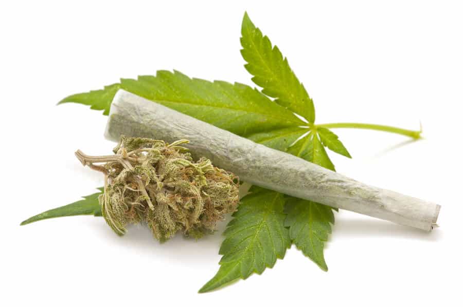 cannabis