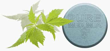 marijuana and mdma