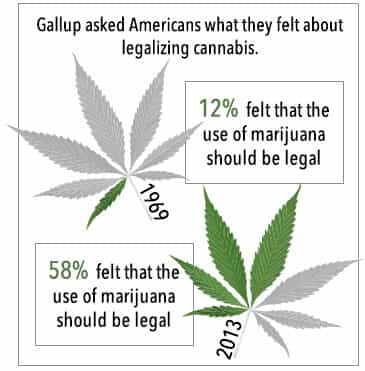 legalizing cannibis